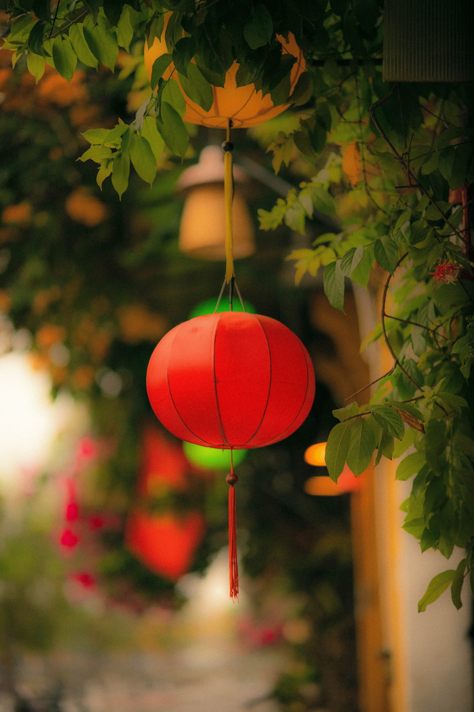 hoi an countryside tour local food