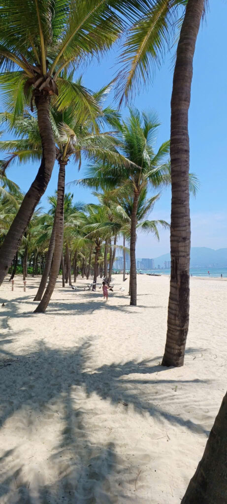 local support Da Nang