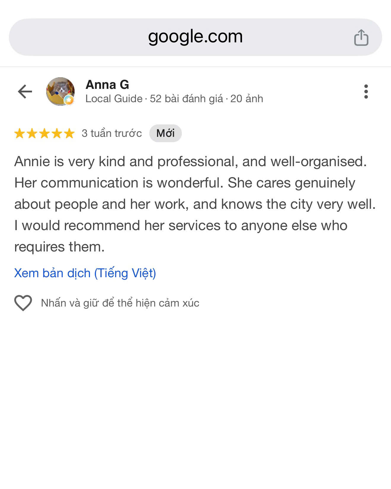 Google review from Anna recommending Annie private local support service